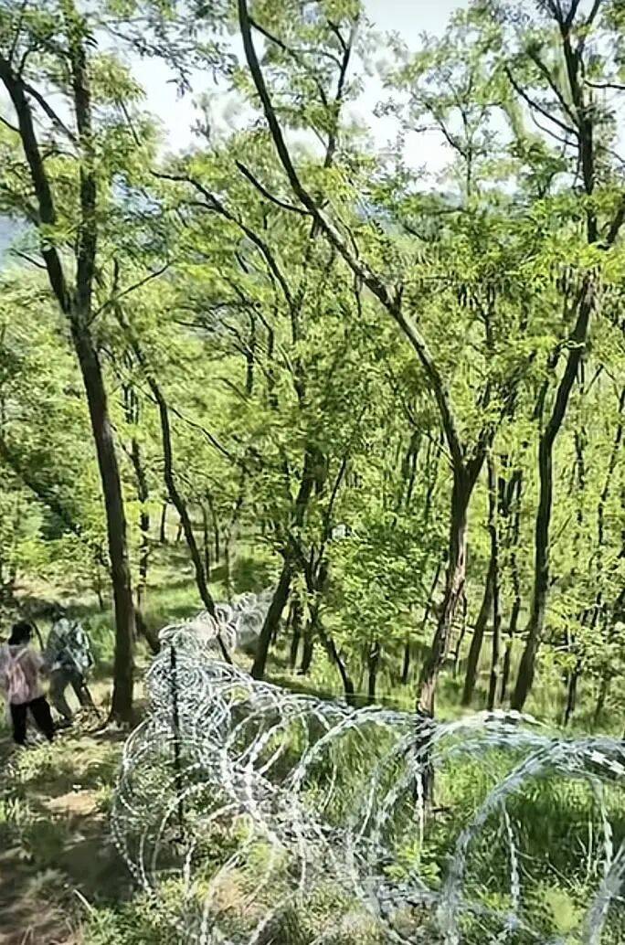泰山刀片式隔离网，拆除计划公布
