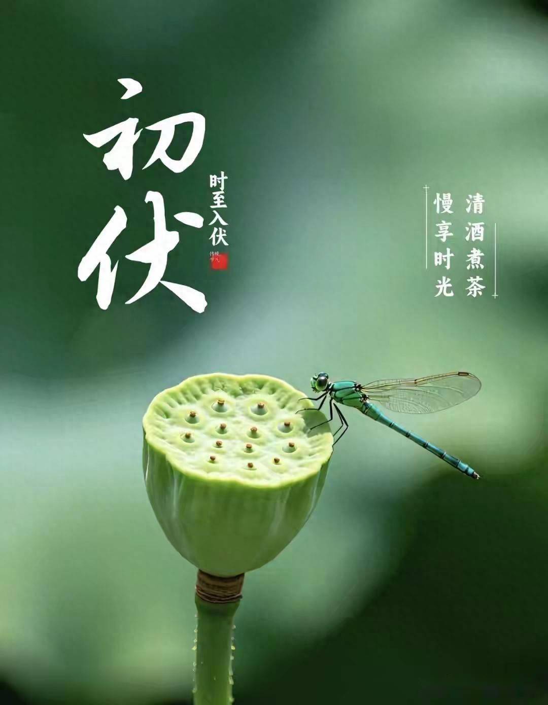 明日入伏，强烈建议中老年：明日早餐吃这4种，精神抖擞一整天！