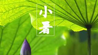 小暑将至，不懂吃就亏了，这5种食材建议常吃，老人说赛过喝参汤！