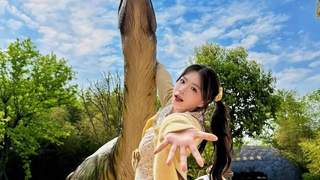 西峡恐龙遗迹园招聘公告 暑期演艺人员火热招募中