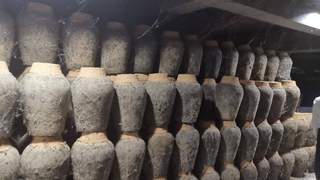 为啥洋酒看年份，咱白酒看窖龄？这回终于整明白了