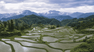 加榜梯田旅行指南：依自然光定晨昏看景节奏 不必赶行程