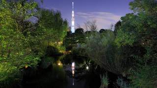 东京向岛百花园 都市中心的避暑佳地