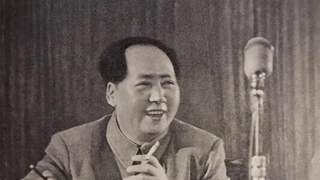 毛岸英入朝牺牲案无责任人 毛主席早点明是战争残酷所致