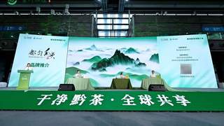 亮相深圳茶博会!“贵州绿茶”品牌价值129.9亿元
