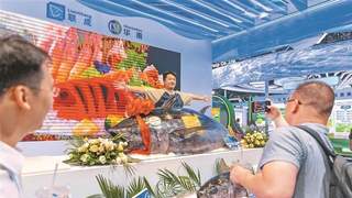 全球近20个国家和地区的优质渔产品在深圳集中展示 千斤蓝鳍金枪鱼游上市民餐桌