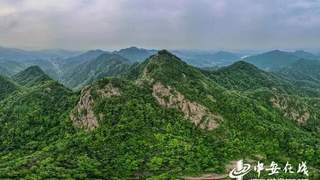 邓彩云:合肥之巅,飒飒凌空