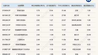 算力硬件大反弹！“金梓才”管理的6只基金，包揽涨幅榜前六