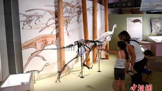 “追寻恐龙的足迹”展览在巴黎揭幕