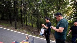 贾汪：大洞山彩虹步道焕新 登山成自然科普趣味之旅