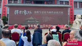 鲁迅美术学院教授张晖：笔墨法度向古人学 画面生气向自然求