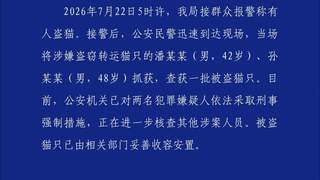 山东莱州两名男子涉嫌盗窃转运上百只猫已被刑拘