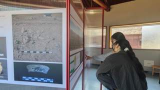中乌联合考古成果亮相汉景帝阳陵博物院图片展正式开展