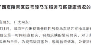宁夏银川西夏陵景区就游客反映马匹带伤载客一事致歉 已启动专业处置并推出整改措施