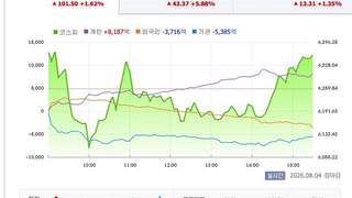 韩股杠杆ETF血洗散户：56万亿韩元亏损超32万账户遭强平 散户交易占比骤降至三成