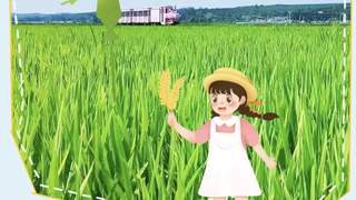 光东村：稻田盛景映衬朝鲜族特色体验