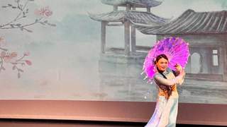“中华文化大乐园”落地荷兰海牙 10天文化活动拉开帷幕