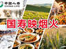 国寿映烟火 | “小”辣条闯出“大”天地
