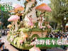 成都玛雅寰宇文化——专业景区演艺定制公司究竟有何独特魅力?
