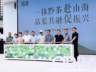 首届贵州抹茶产业交流会落幕 抹小茗全国五店同步开业