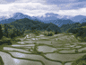 加榜梯田旅行指南:依自然光定晨昏看景节奏 不必赶行程