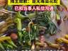 广西南宁一女子吃螺蛳粉竟吃出一条蛇，称连解释和安抚都没有；涉事摊主发声明：就顾客吃出小菜花蛇一事，诚恳致歉并愿赔偿