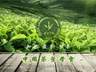 茶科普 | 中国新茶饮香飘海外的“出海密码”