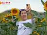 乌鲁木齐后梁路千亩向日葵花海迎客 雪山伴花成热门打卡地