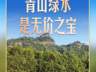 武夷山燕子窠茶园里，习近平强调做好茶产业发展大文章