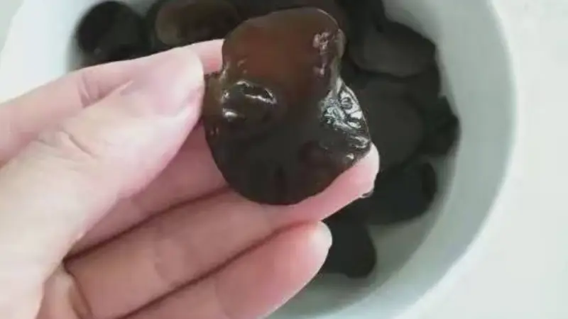 12种食材清洗泡发方法大全 木耳蘑菇海蜇鱿鱼海带全覆盖 厨房小白必备