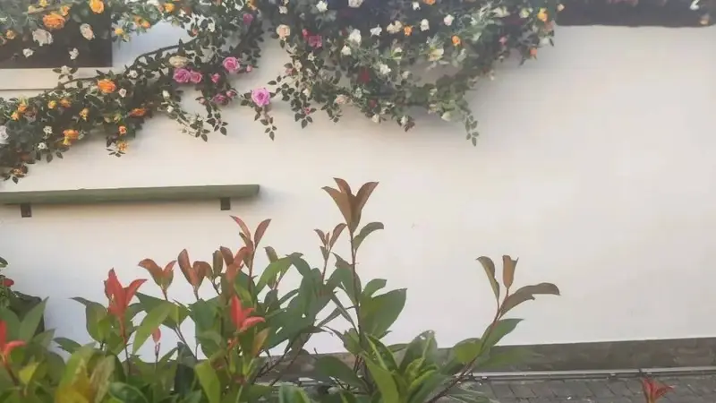 上海人爱喝咖啡的生活态度,不会因他人无端厌恶而改变分毫