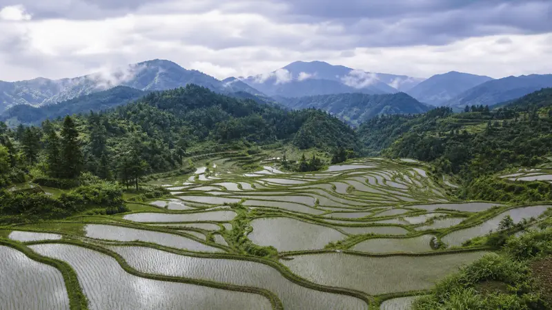 加榜梯田旅行指南:依自然光定晨昏看景节奏 不必赶行程