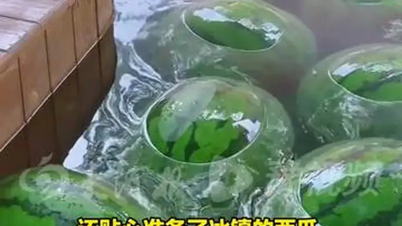 顶“瓜瓜”接力!河南的这个夏天有点甜