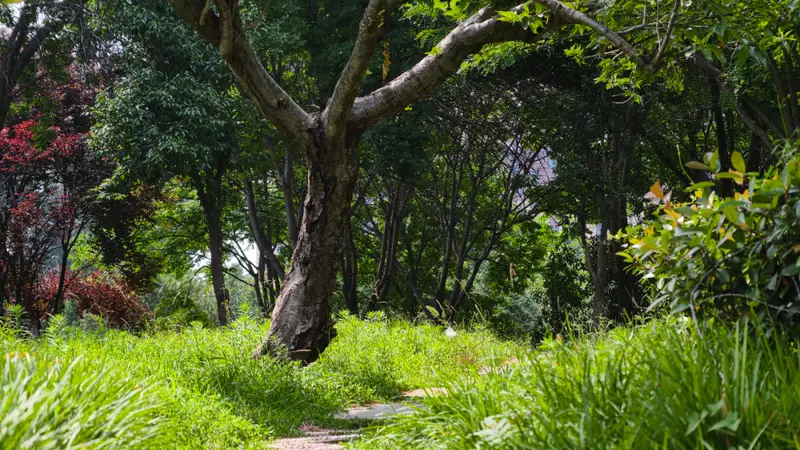 休闲漫步，这个地方别错过→