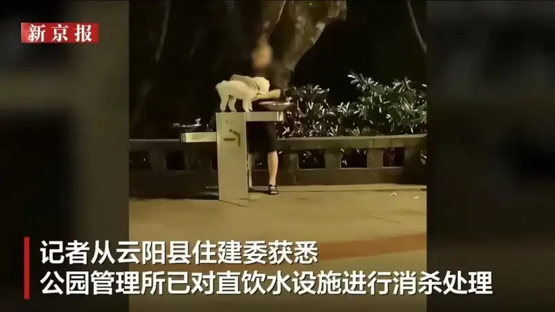 “宠物狗使用公共直饮水”引争议，多地回应