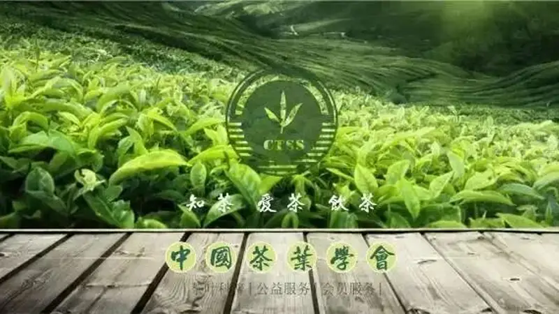 茶科普 | 中国新茶饮香飘海外的“出海密码”