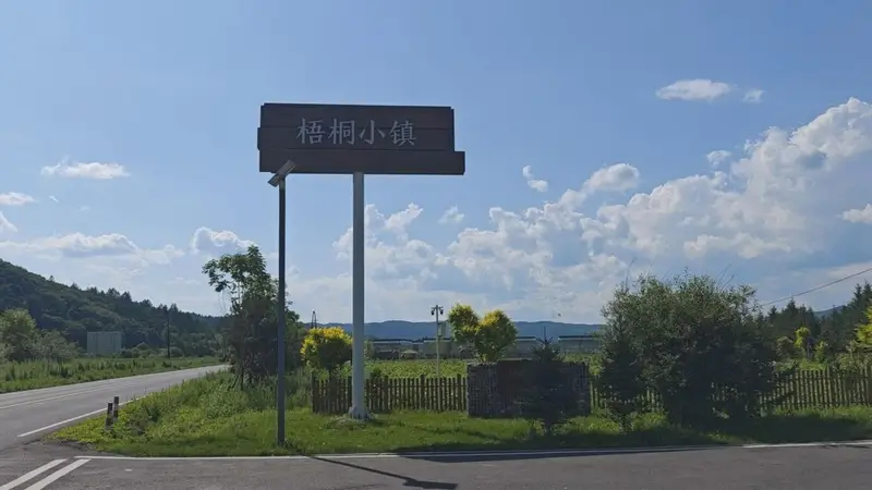 南岔县梧桐镇:药膳康养旅游赋能生态发展