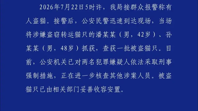 山东莱州两名男子涉嫌盗窃转运上百只猫已被刑拘