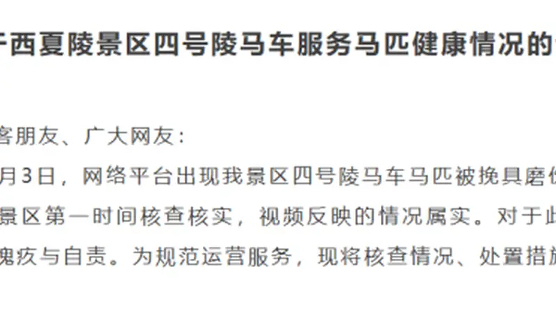 宁夏银川西夏陵景区就游客反映马匹带伤载客一事致歉 已启动专业处置并推出整改措施