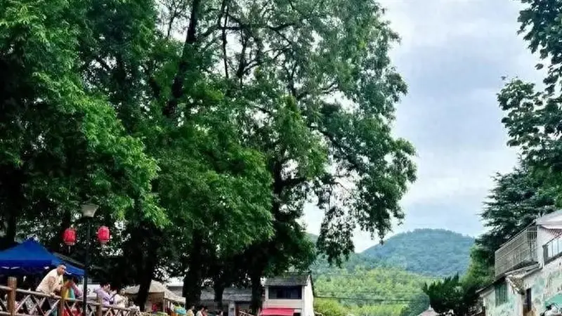 宜宾避暑新动向:周边溯溪点接待量暴增300% 往年挤爆瓦屋山热度大降
