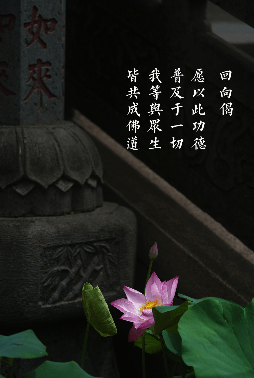 关于西湖景区佛教寺院恢复开放的通告