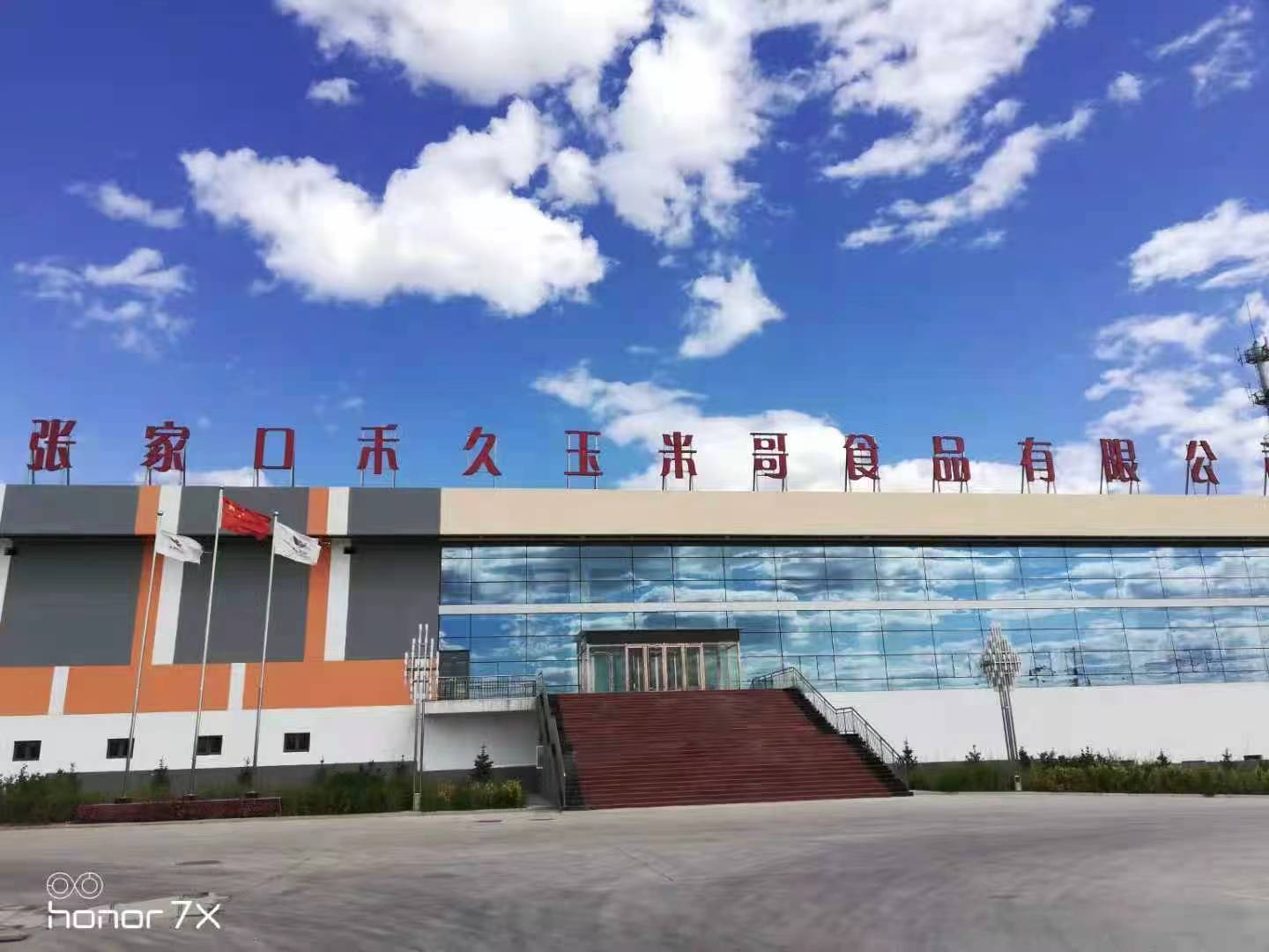 哪些 适合日常食用的益生元食品