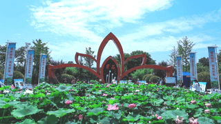 解锁夏日微度假最新玩法 西安市2026年消夏文旅季暨西安千荷苑荷文化旅游季启动