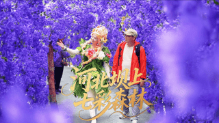 北京周边避暑天花板!16℃的丰宁七彩森林,遛娃度假一站式全搞定