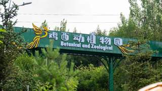 鸡西动植物园 | 以文兴旅，同心兴城