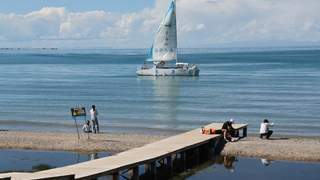 青海湖夏日风光醉游人