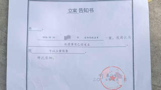 网红边牧被盗宰杀案移送检察院 受害者计划提起民事诉讼索赔