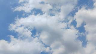 旅游大巴扣留处置出新规 按月划转营运结余至执行专户