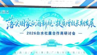白水杜康研讨会：以品质定力、共生思维锚定名酒新长期价值