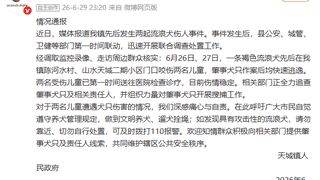 湖北崇阳通报“流浪犬咬伤两名儿童”:全力追查肇事犬只及相关责任人